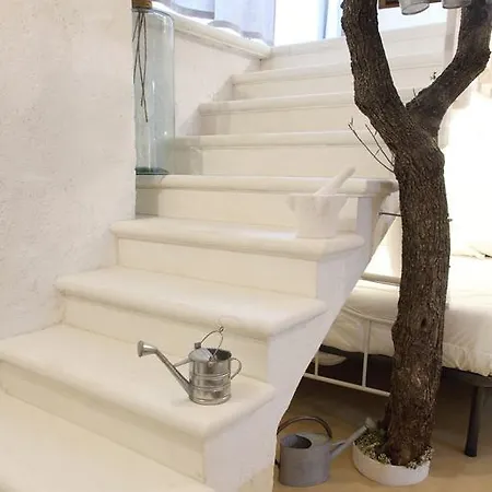 La Vitagira * 莫诺波利