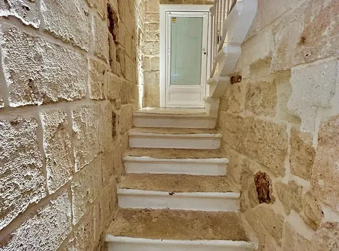 La Vitagira مونوبولي